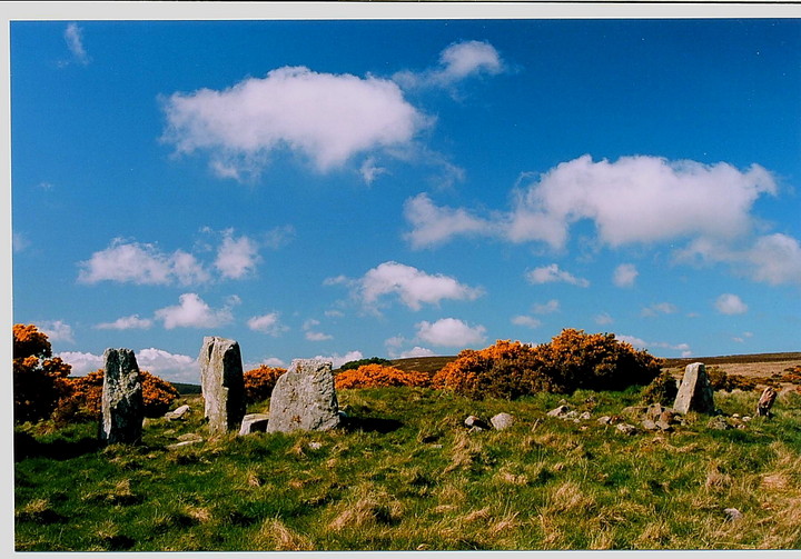Image of Raedykes (Ring Cairn) by GLADMAN