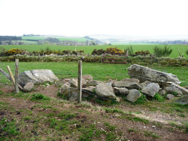 Image of Bellman’s Wood (Stone Circle) by drewbhoy