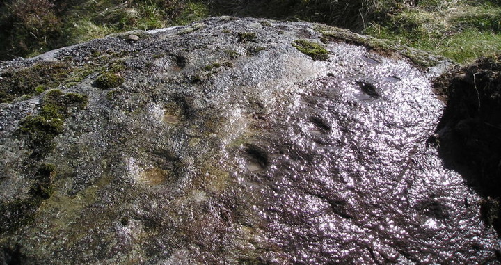 Image of Black Burn (Cup and Ring Marks / Rock Art) by tiompan