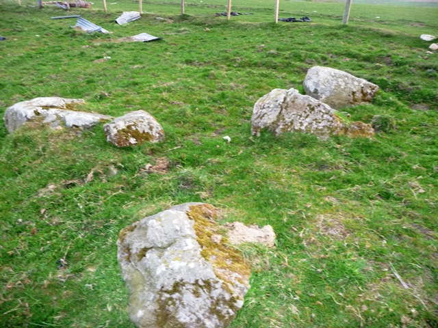 Image of Upper Auchnagorth (Stone Circle) by drewbhoy