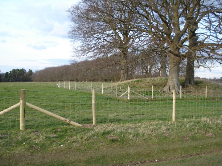Image of Old King Barrows by Chance