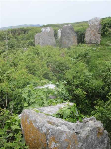Image of Teergonean (Court Tomb) by bogman