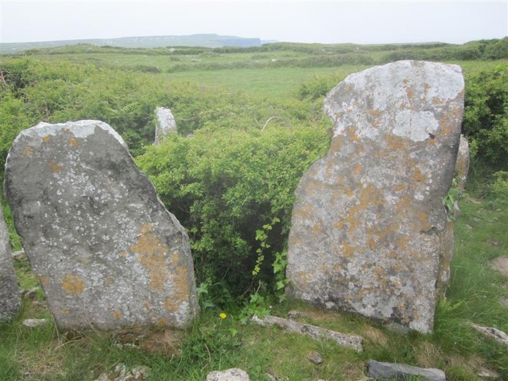 Image of Teergonean (Court Tomb) by bogman