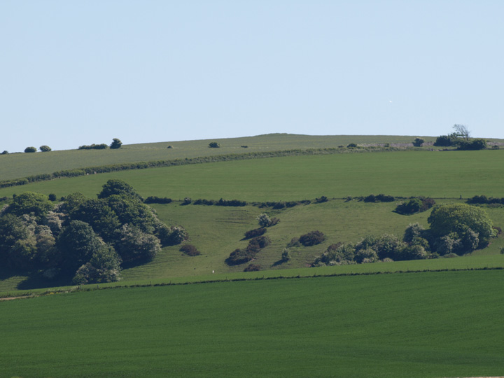 Image of Ridgeway Hill (Round Barrow(s)) by formicaant