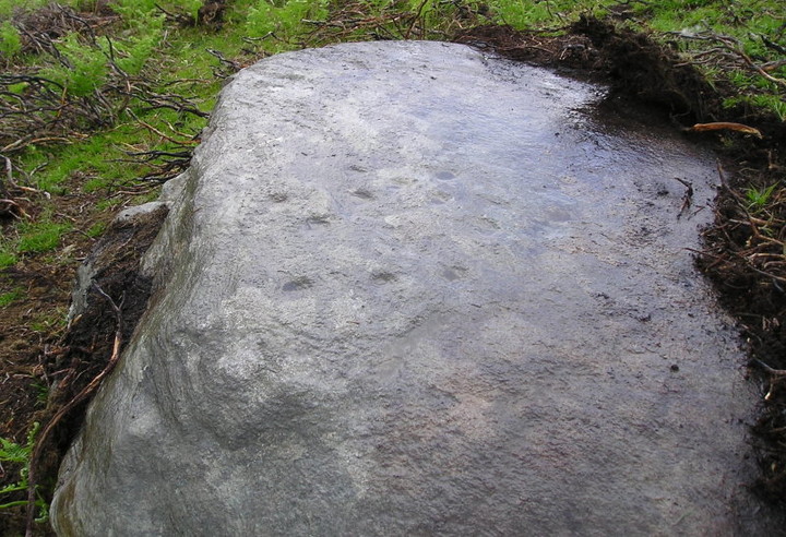 Image of Craig Tombane (Cup Marked Stone) by tiompan