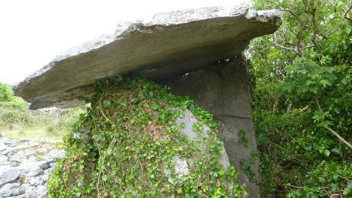 Image of Crannagh (Portal Tomb) by Nucleus