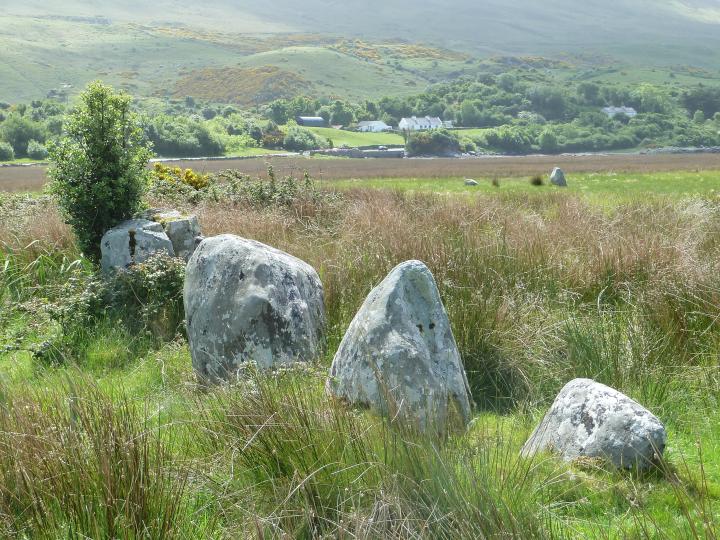 Image of Killadangan (Stone Row / Alignment) by Nucleus