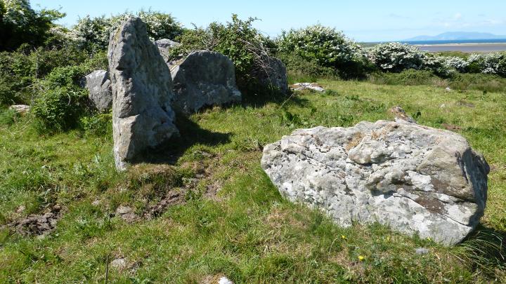 Image of Streedagh (Court Tomb) by Nucleus