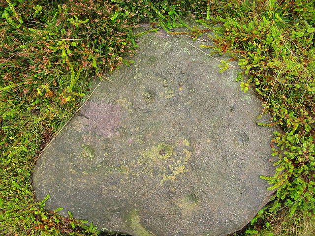 Image of Weary Hill Stone (Cup and Ring Marks / Rock Art) by stubob