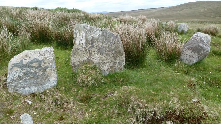 Image of Knocknalower (Stone Circle) by Nucleus