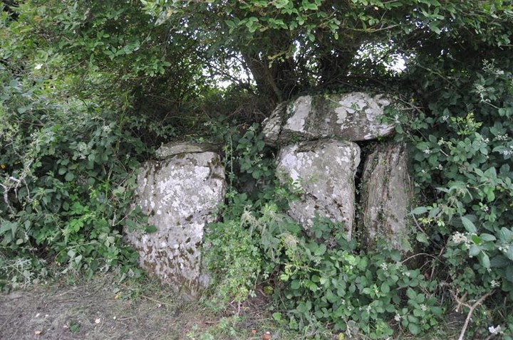 Image of Paddock (Wedge Tomb) by bogman