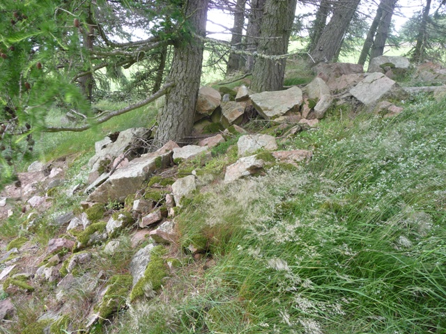 Image of Findlatree (Cairn(s)) by drewbhoy