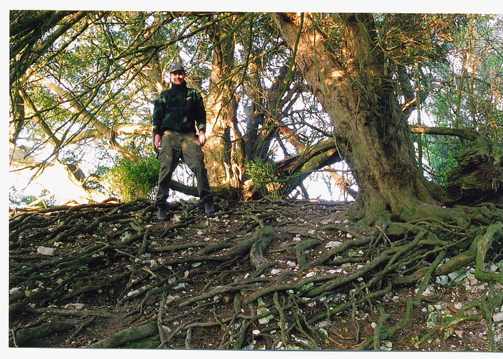 Image of Duck’s Nest (Long Barrow) by GLADMAN