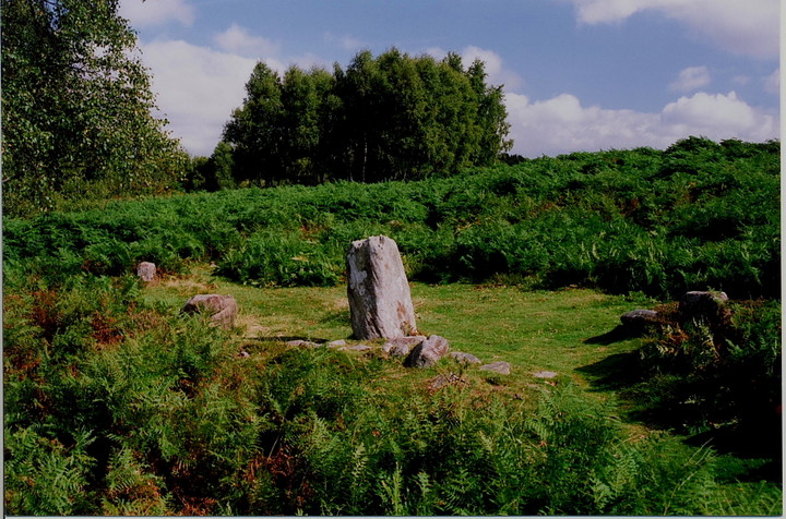 Image of Stoke Flat (Stone Circle) by GLADMAN