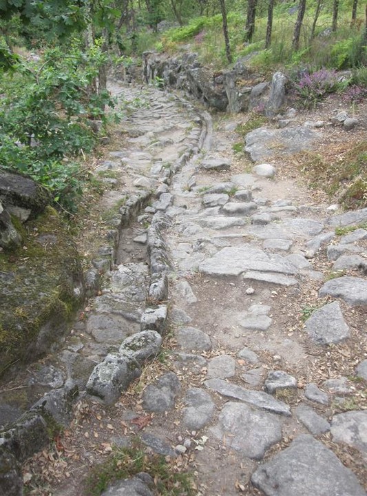 Image of Citania De Briteiros (Ancient Village / Settlement / Misc. Earthwork) by bogman