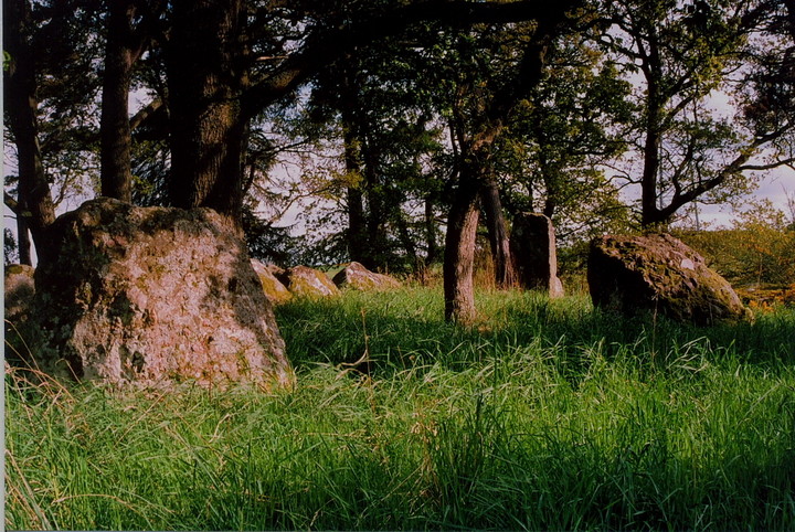 Image of Druidtemple (Clava Cairn) by GLADMAN