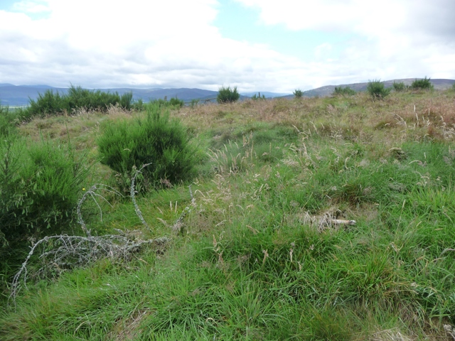 Image of Knockargety Hill (Hillfort) by drewbhoy