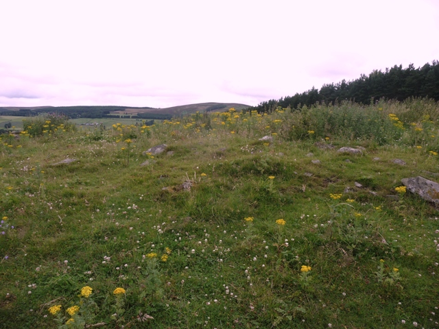 Image of Meikle Tom (Cairn(s)) by drewbhoy