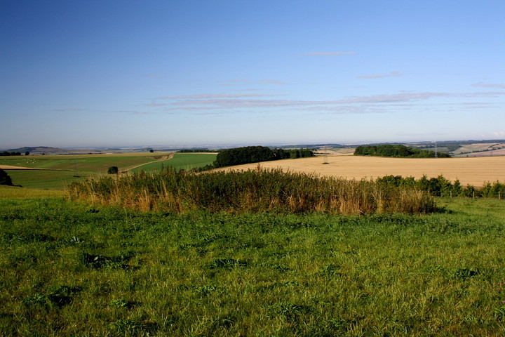 Image of Tow Barrow (Long Barrow) by GLADMAN