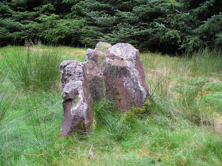 Image of Cairnhowit (Chambered Cairn) by tiompan