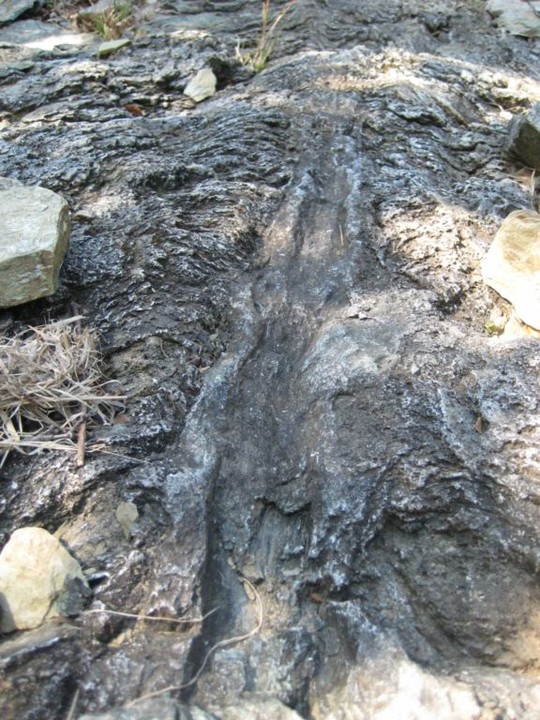 Image of Fertility’s goddess (Carving) by Ligurian Tommy Leggy