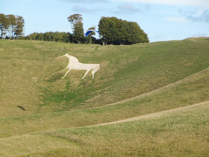 Image of Cherhill Down and Oldbury (Hillfort) by tjj