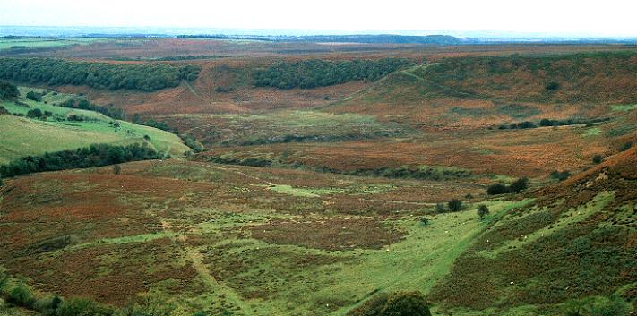 Image of Levisham Moor (Ancient Village / Settlement / Misc. Earthwork) by fitzcoraldo
