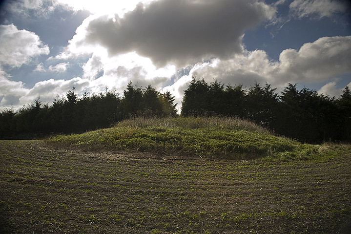 Image of Telegraph Hill Barrow (Round Barrow) by A R Cane