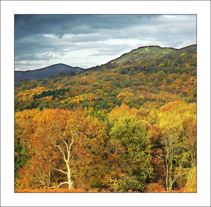 Image of British Camp (Hillfort) by earthstone