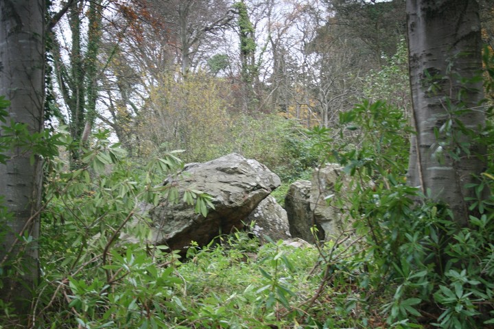 Image of Howth Demesne (Portal Tomb) by postman