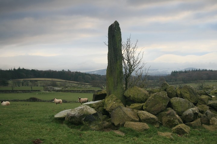 Image of Tyddyn Bach Standing Stone by postman