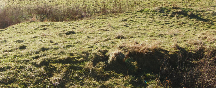 Image of Tingwall (Broch) by wideford
