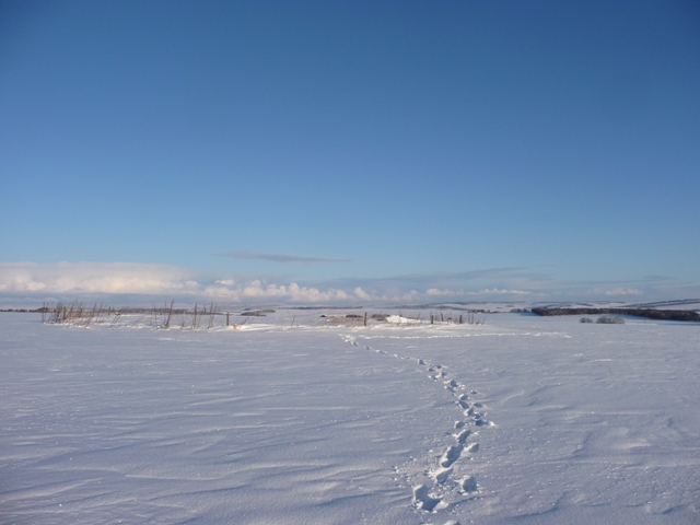 Image of Mains of Hatton (Stone Circle) by drewbhoy