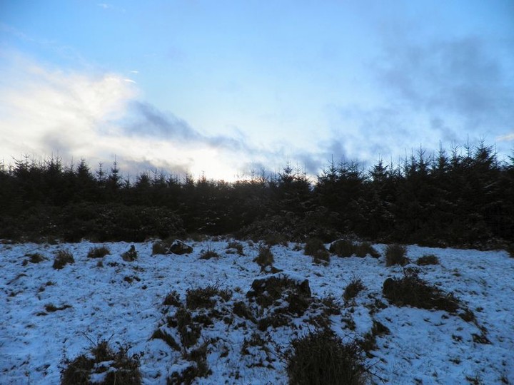 Image of Coumroe (Stone Circle) by bawn79