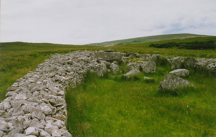 Image of Cloghanmore (Court Tomb) by GLADMAN