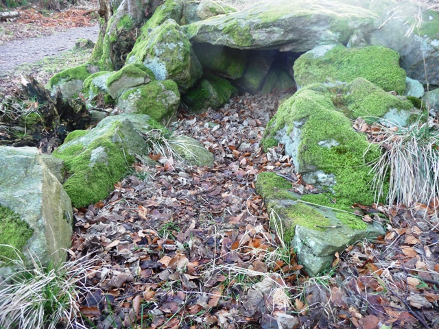 Image of Tollohill Wood (Cist) by drewbhoy