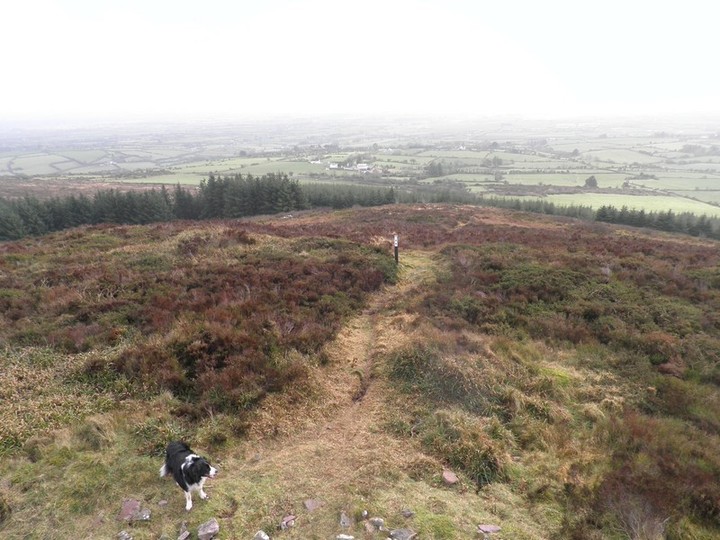 Image of Castlegale (Hillfort) by bawn79