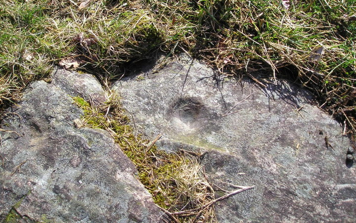 Image of Balimeanach (Cup and Ring Marks / Rock Art) by tiompan