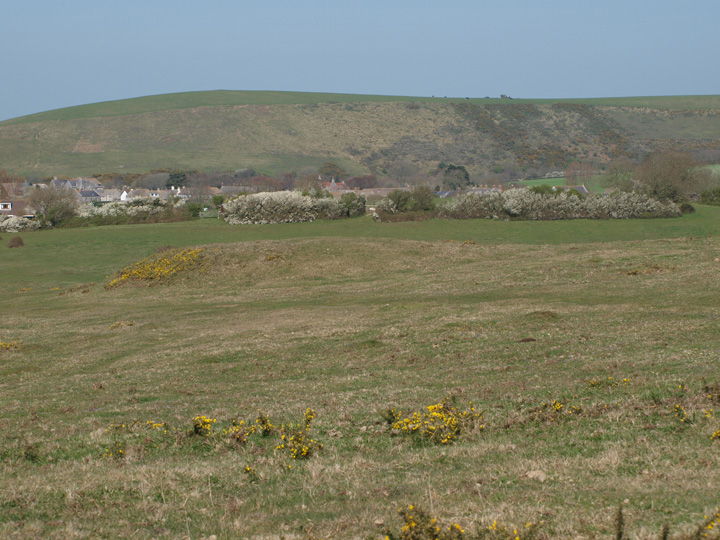 Image of Corfe Common (Round Barrow(s)) by formicaant