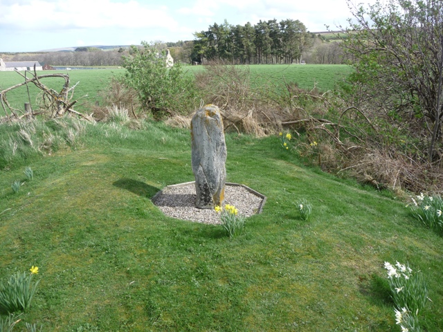 Image of Kellas (Standing Stone / Menhir) by drewbhoy