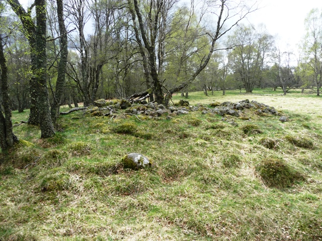 Image of Balnagowan Wood (Cairn(s)) by drewbhoy