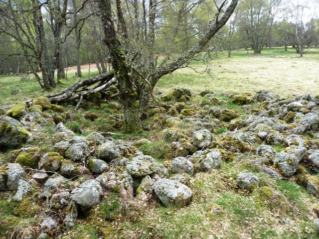Image of Balnagowan Wood (Cairn(s)) by drewbhoy