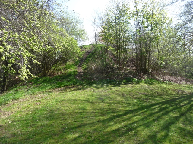 Image of Tillydrone (Artificial Mound) by drewbhoy