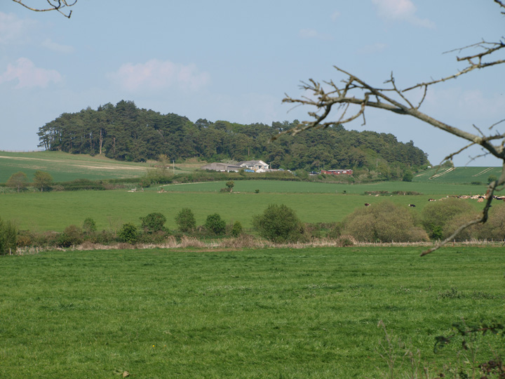 Image of Tolpuddle Ball (Round Barrow(s)) by formicaant