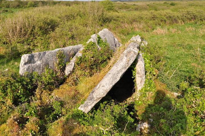Image of Ballyganner North II (Wedge Tomb) by bogman