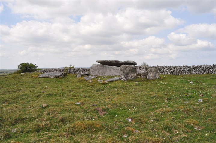 Image of Fanyglavin (Wedge Tomb) by bogman