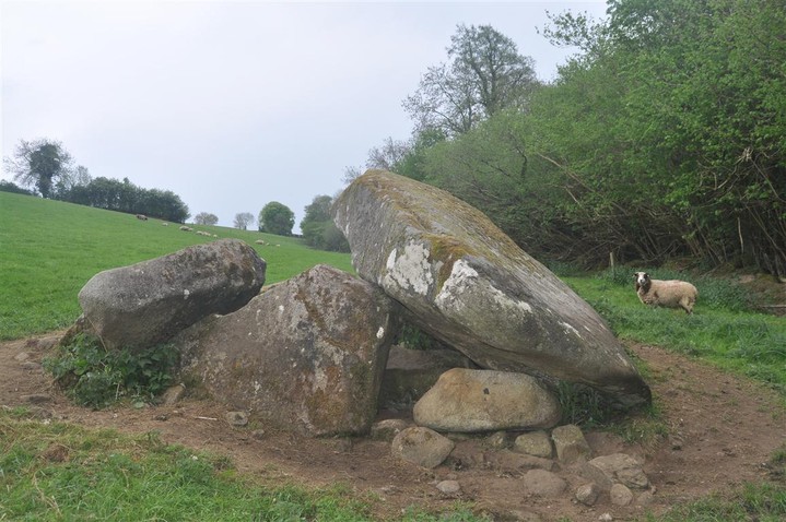 Image of Kilgraney (Chambered Tomb) by bogman