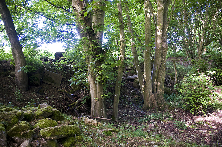 Image of Church Hill Flint Mines (Ancient Mine / Quarry) by A R Cane