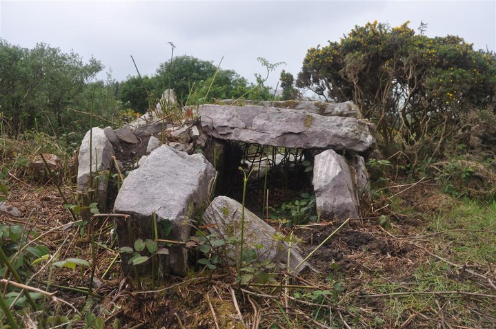Image of Formoyle More West (Wedge Tomb) by bogman