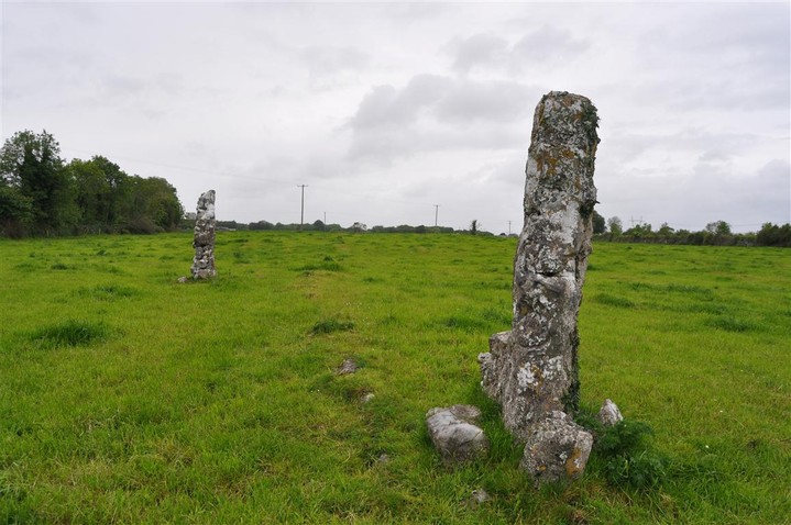 Image of Knappogue (Standing Stones) by bogman